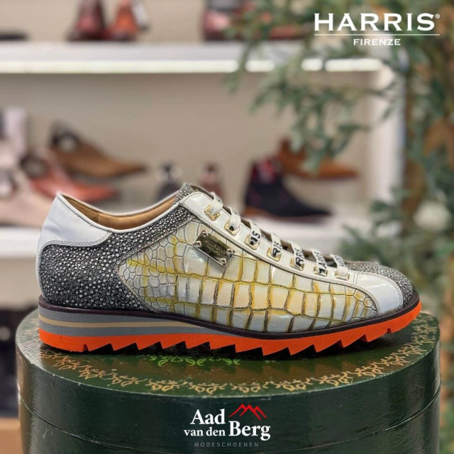 Harris Herenschoenen sneakers 2817 5339 large