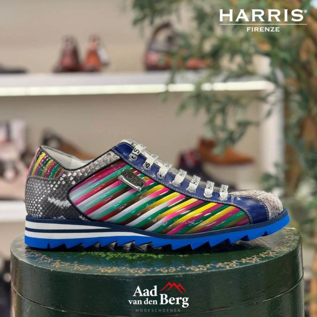 Harris Herenschoenen sneakers 2817p 5339 large