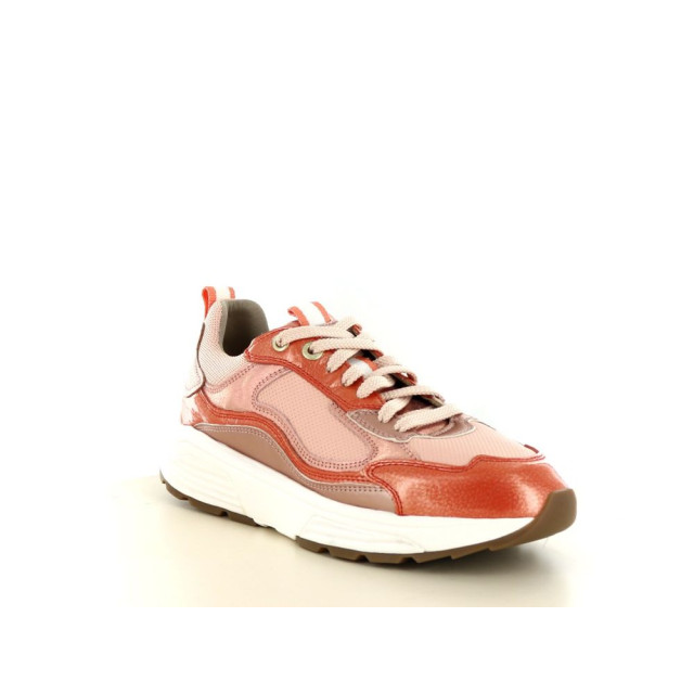 Xsensible 237.52.322 Sneakers Oranje 237.52.322 large