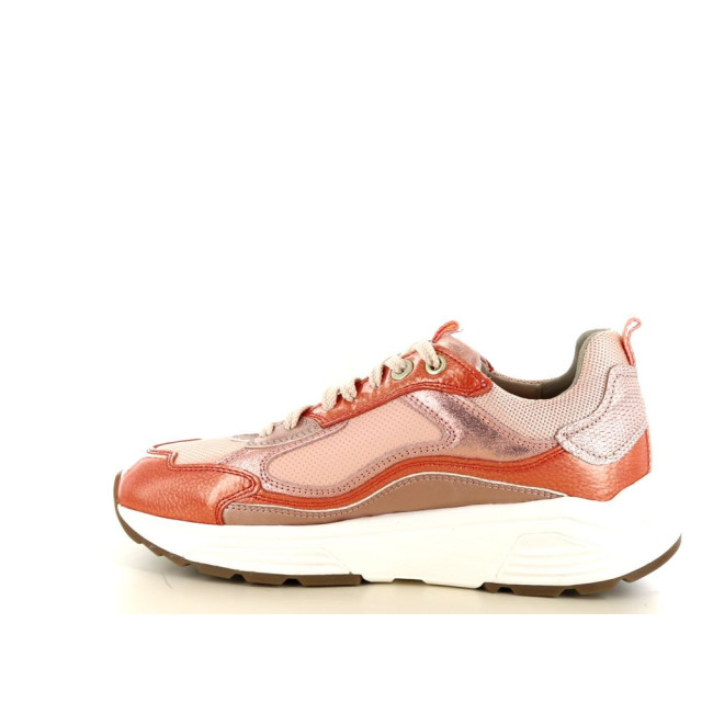 Xsensible 237.52.322 Sneakers Oranje 237.52.322 large