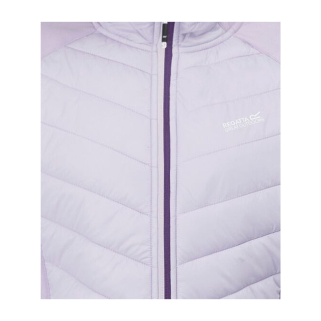 Regatta Dames andreson viii hybride jas UTRG9336_lilacfrostsunsetpurple large