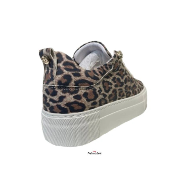 Red Rag 74402 Sneakers Bruin 74402 large