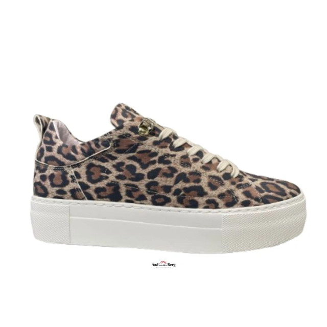 Red Rag 74402 Sneakers Bruin 74402 large
