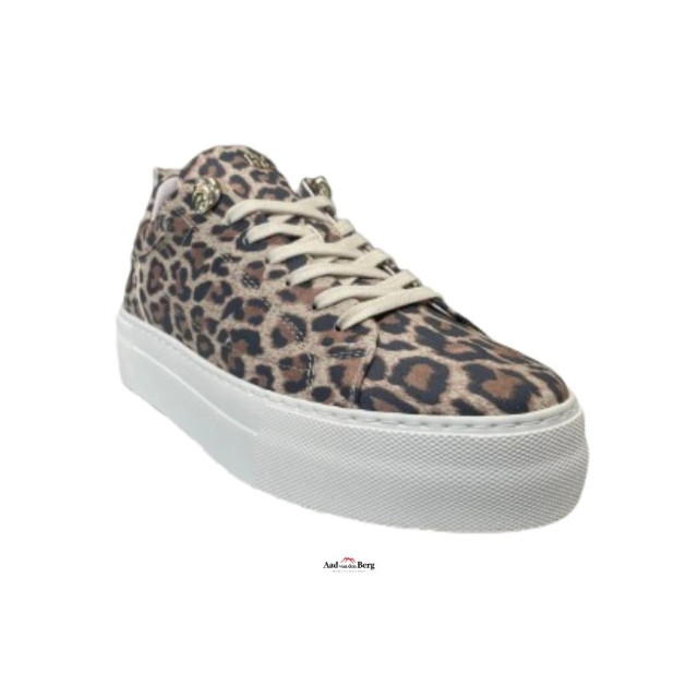 Red Rag 74402 Sneakers Bruin 74402 large
