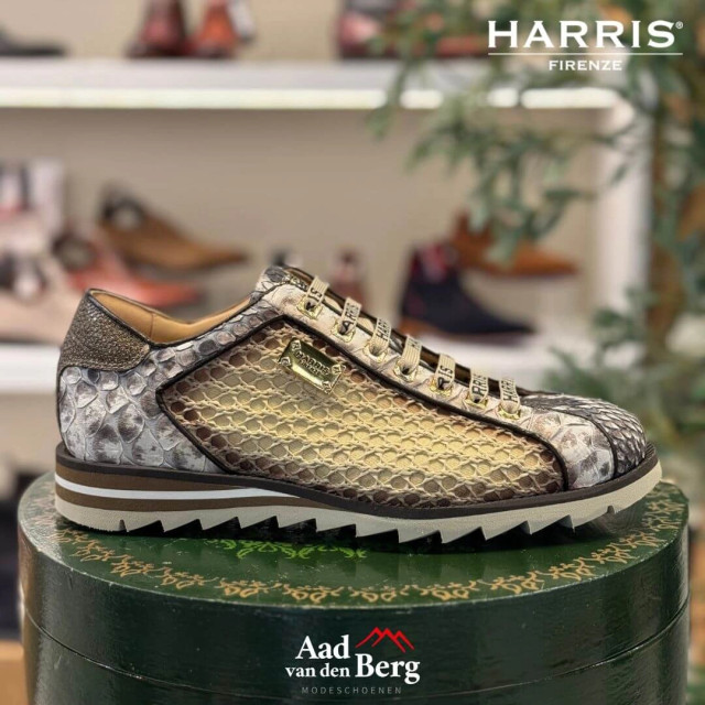 Harris Herenschoenen sneakers 5339 Mugello large