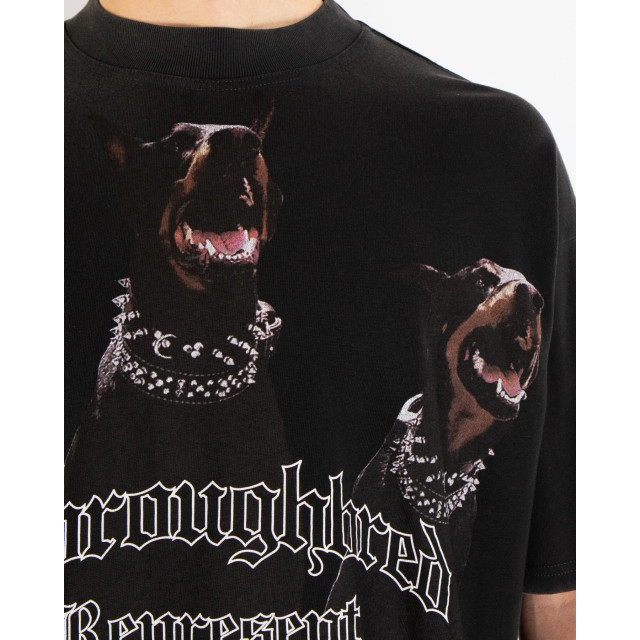 Represent Heren thoroughbred t-shirt MLM41135-3 large