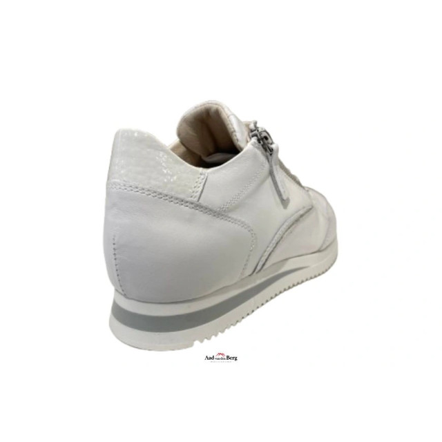 DL Sport Damesschoenen sneakers 5283 567 large DL Sport Damesschoenen sneakers 5283 567 large