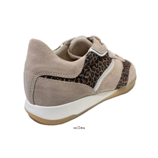 DL Sport Damesschoenen sneakers 6572 833 large DL Sport Damesschoenen sneakers 6572 833 large