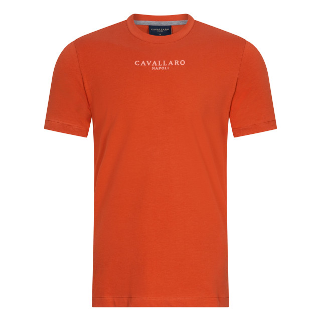 Cavallaro Cavallaro t-shirt met korte mouwen 101965-001-XL large