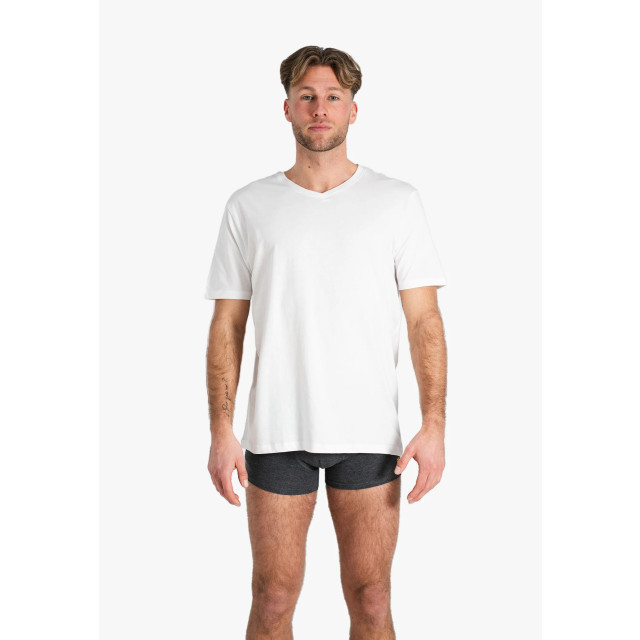Phil & Co Heren ondershirt katoen t-shirt v-hals 2-pack PH-TS-3 large