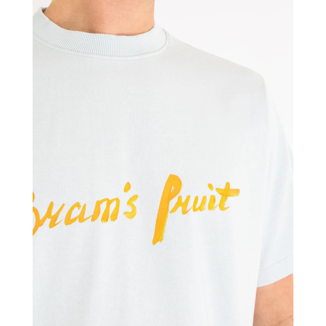 Bram's Fruit Heren mum's script logo t 774-Light Blue large