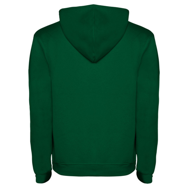 Roly Heren urban hooded sweatshirt UTLT5858_bottlegreenheathergrey large