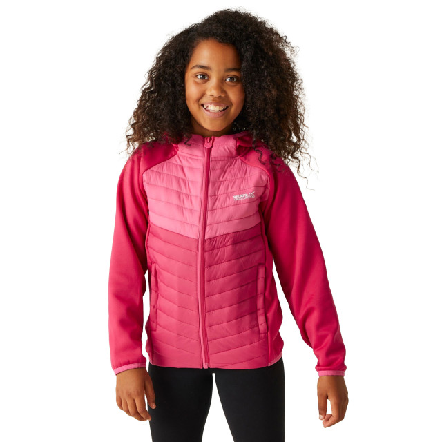 Regatta Kinders/kids kielder viii hybride jas UTRG9921_pinkpotionflamingopink large