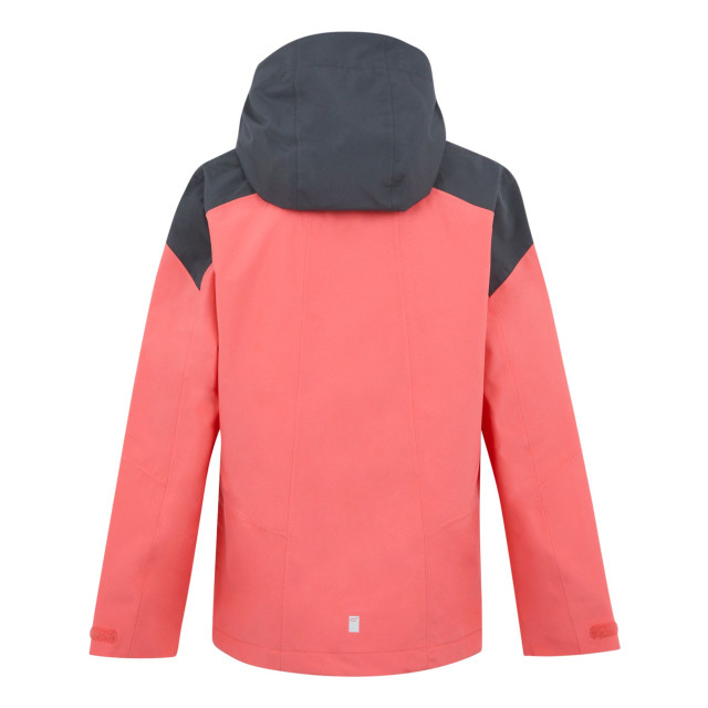 Regatta Kinder/kinder highton vi waterdichte jas UTRG11444_sealgreycloudygreyblack large