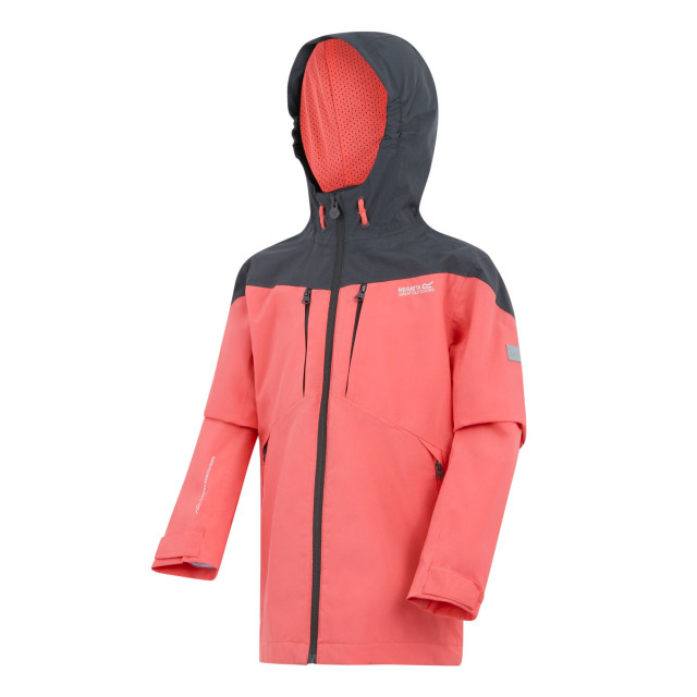 Regatta Kinder/kinder highton vi waterdichte jas UTRG11444_sealgreycloudygreyblack large