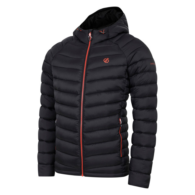 Dare2b Heren torrek mountain gewatteerde jas UTRG11275_black large