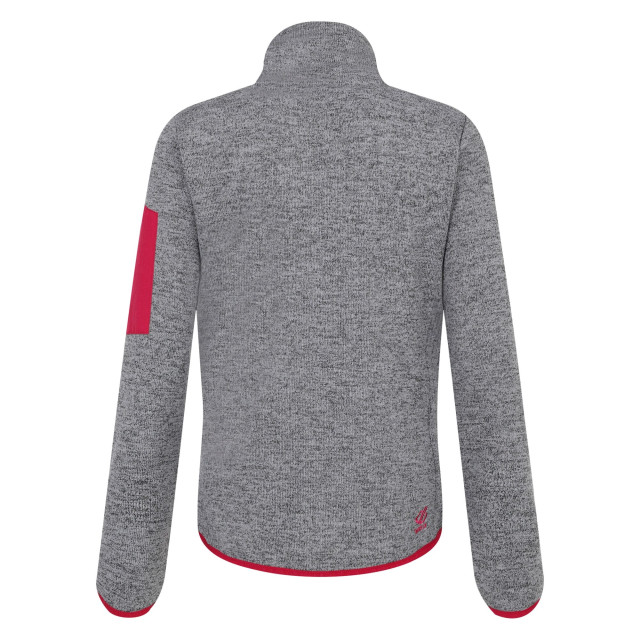 Dare2b Dames torrek mountain series thermo fleece UTRG11254_charcoalgreymarl large