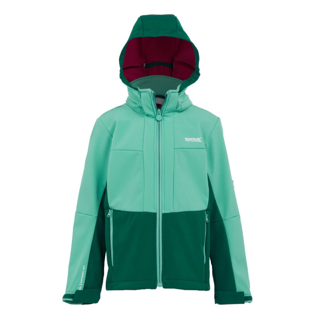 Regatta Kinder/kids haydenbury ii soft shell jas UTRG11213_dustygreenrainforest large