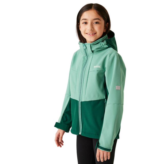 Regatta Kinder/kids haydenbury ii soft shell jas UTRG11213_dustygreenrainforest large