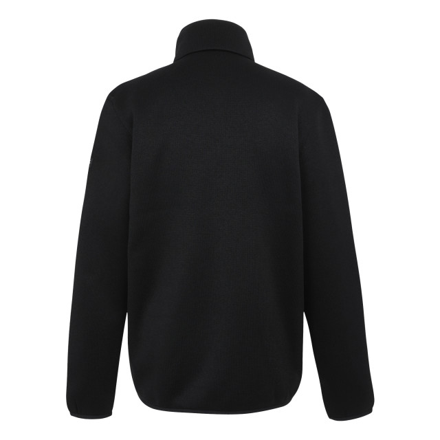 Regatta Heren branleigh full zip fleecejack UTRG11106_black large