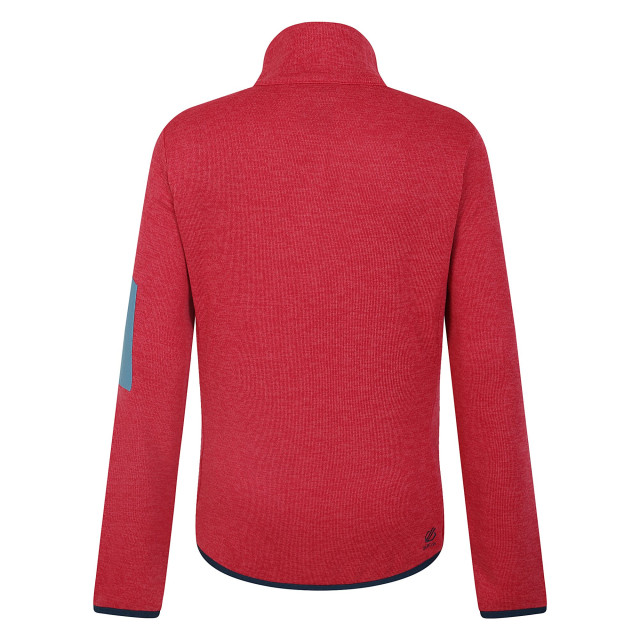 Dare2b Dames torrek fleece top UTRG11068_sorbetpink large