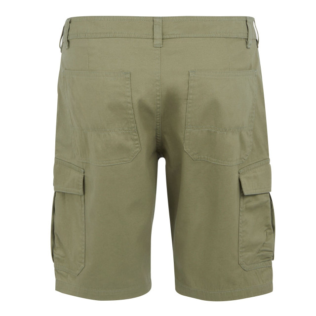 Regatta Heren ruwan vrijetijdsshort UTRG10931_fauna large