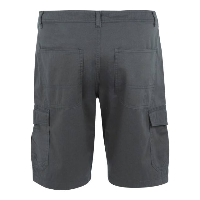 Regatta Heren ruwan vrijetijdsshort UTRG10931_sealgrey large