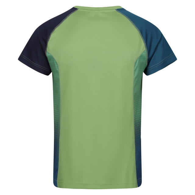 Regatta Heren corballis t-shirt UTRG10367_piquantgreenmoroccanblue large