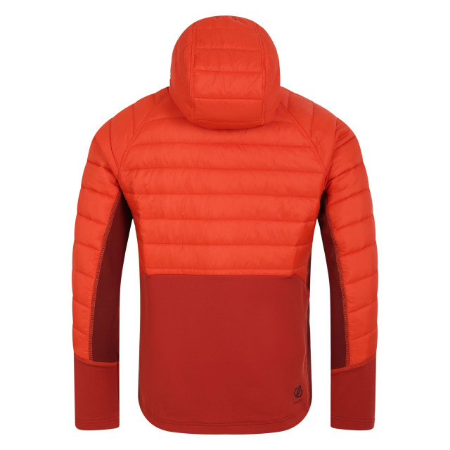 Dare2b Heren afwijkend hybride jas UTRG10457_cinnamontuscanred large Dare2b Heren afwijkend hybride jas UTRG10457_cinnamontuscanred large