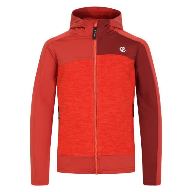 Dare2b Kinder/kids thriving ii midlayer UTRG10060_cinnamontuscanred large