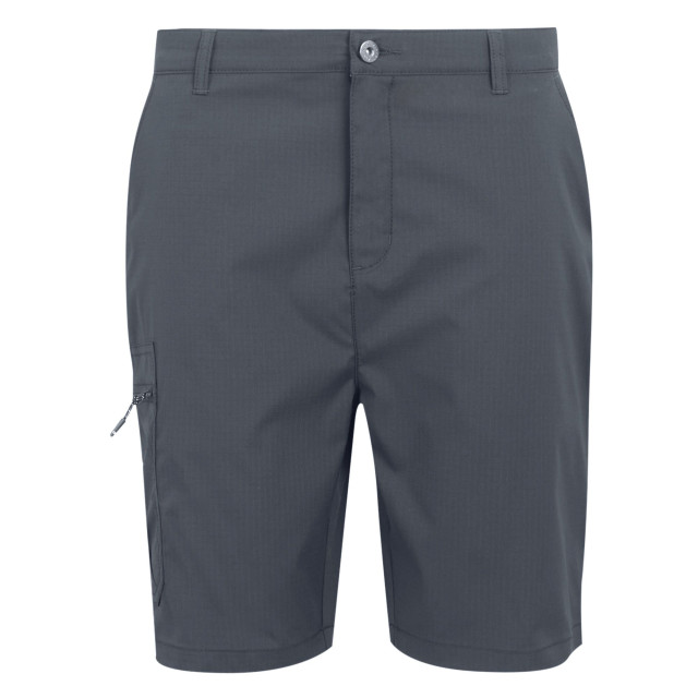 Regatta Heren dalry multi pocket korte broek UTRG10335_sealgrey large