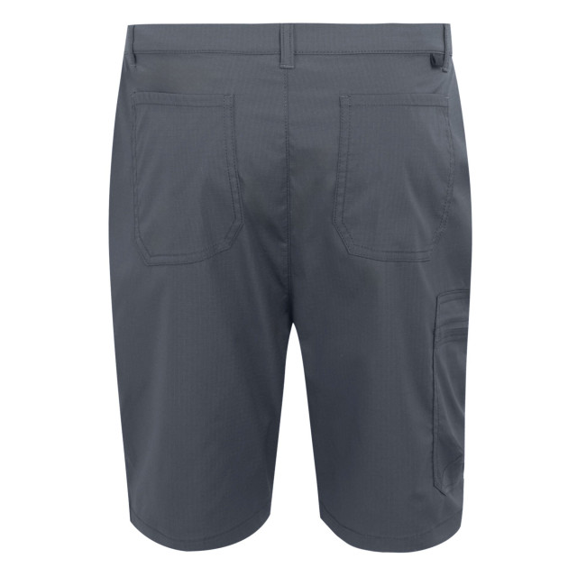 Regatta Heren dalry multi pocket korte broek UTRG10335_sealgrey large