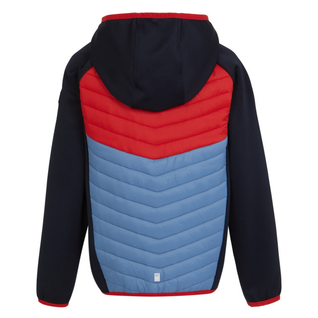 Regatta Kinders/kids kielder viii hybride jas UTRG9921_dustygreendeeppink large