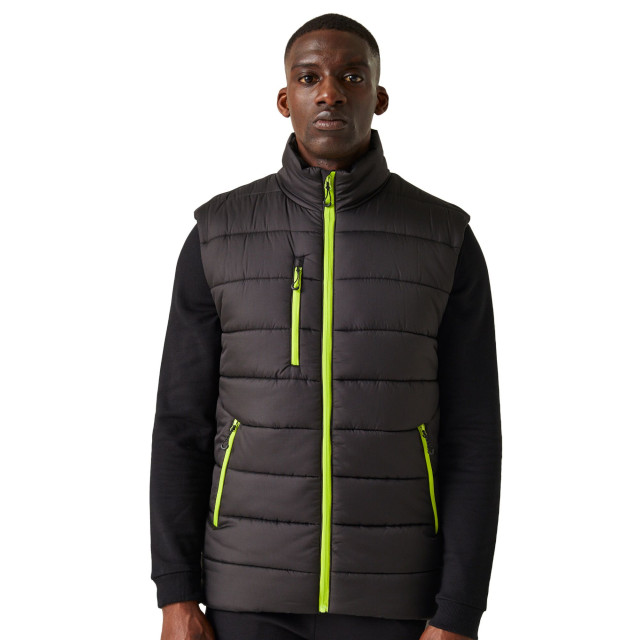 Regatta Thermische bodywarmer navigate voor heren UTRG9318_blacklimegreen large Regatta Thermische bodywarmer navigate voor heren UTRG9318_blacklimegreen large