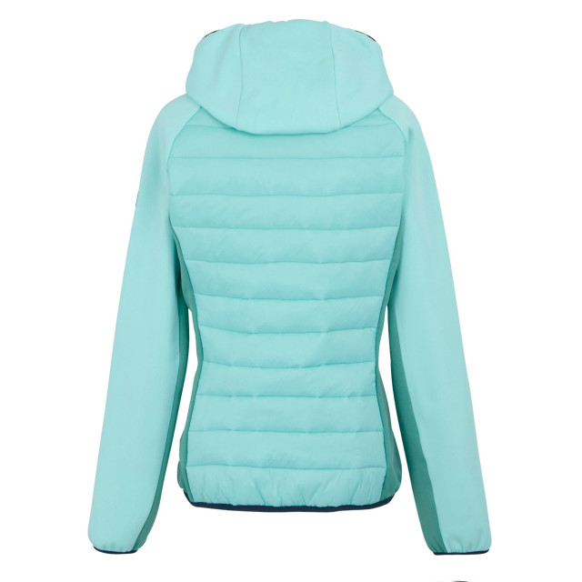 Regatta Dames andreson viii hybride jas UTRG9336_arubablueturquoise large