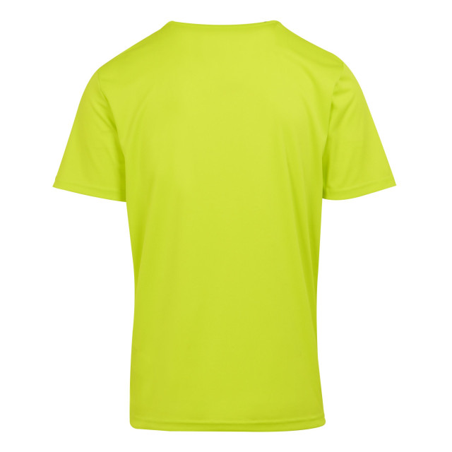 Regatta Heren fingal viii geometrisch t-shirt UTRG9694_citronlime large
