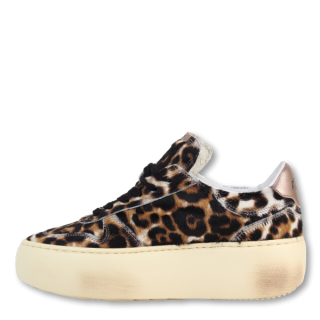 AMA brand 2533 2533 large