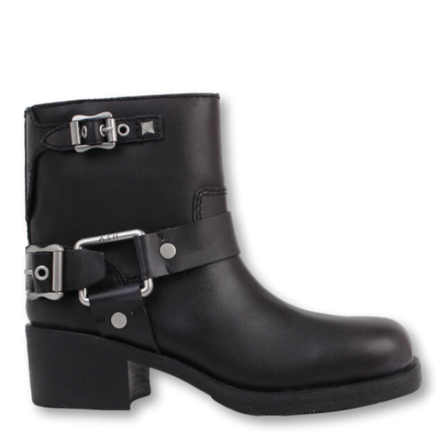 Ash Texas Texas large