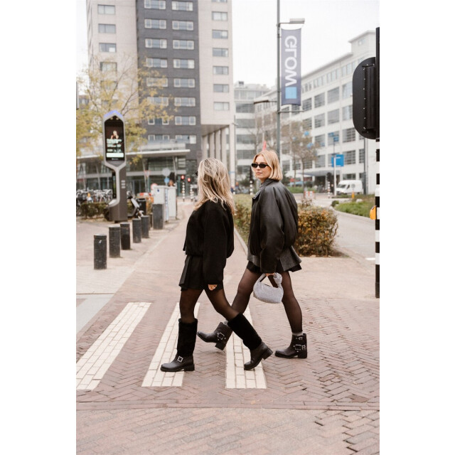 Ash Texas Texas large