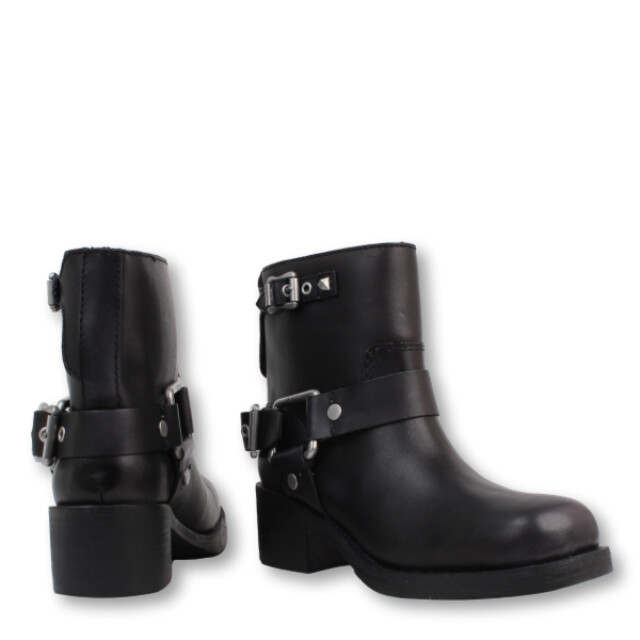 Ash Texas Texas large