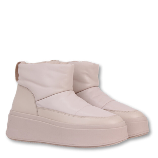 Ash F21 maxi bis 03 F21 Maxi BIS 03 large