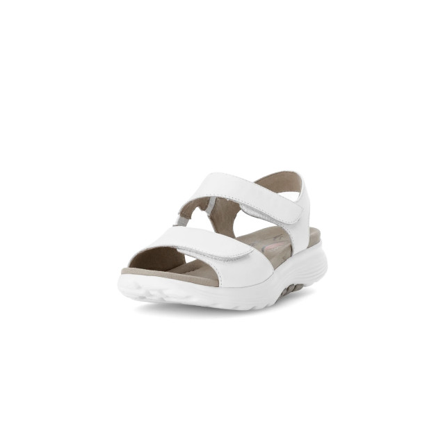 Gabor 66.815.50 Sandalen Wit 66.815.50 large Gabor 66.815.50 Sandalen Wit 66.815.50 large