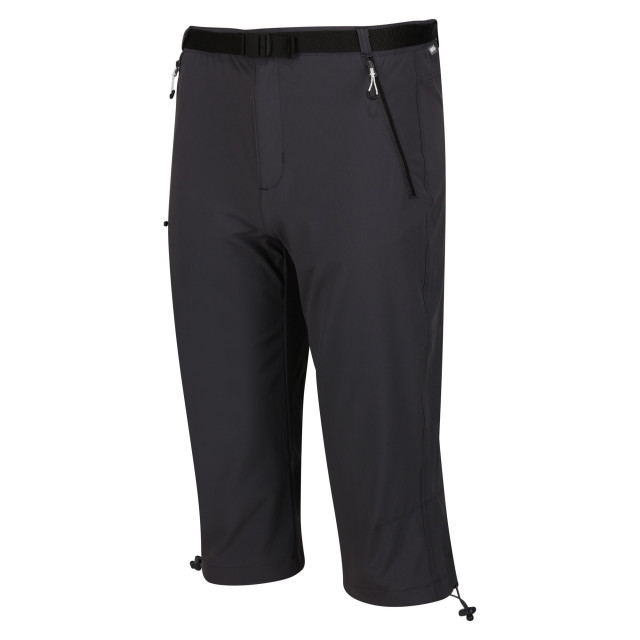 Regatta Heren xert stretch iii stretch active capri shorts UTRG10047_sealgrey large