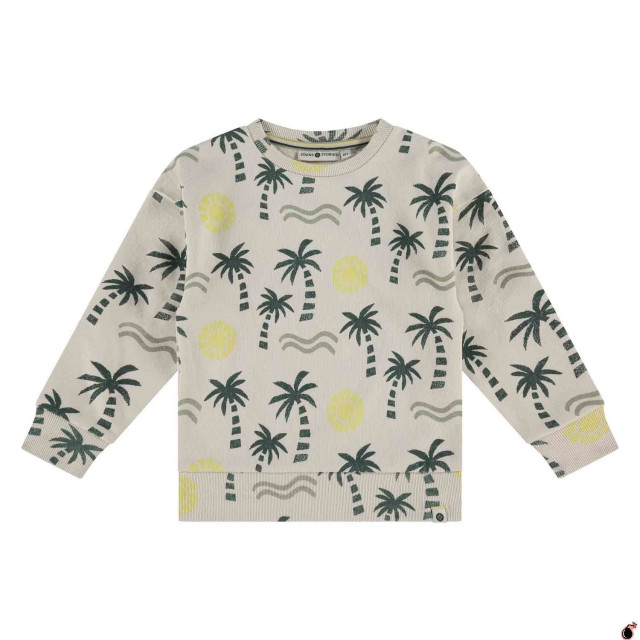 Stains & Stories  Ssa25207423  SSA25207423  large