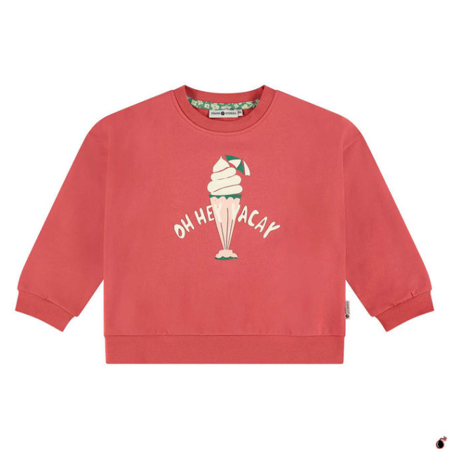 Stains & Stories  Ssa25208424  SSA25208424  large