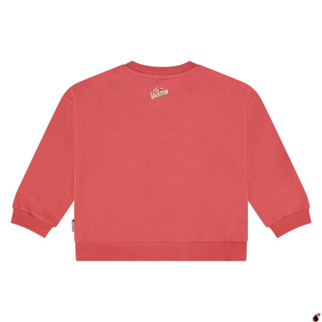 Stains & Stories  Ssa25208424  SSA25208424  large