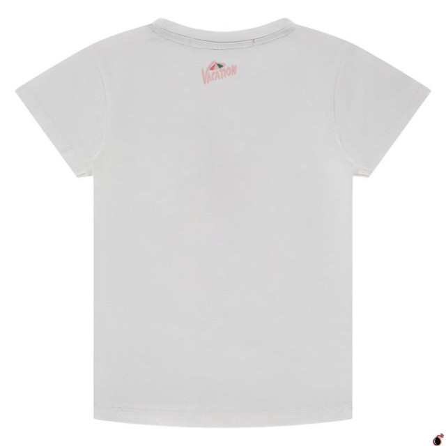 Stains & Stories  Ssa25208628  SSA25208628  large
