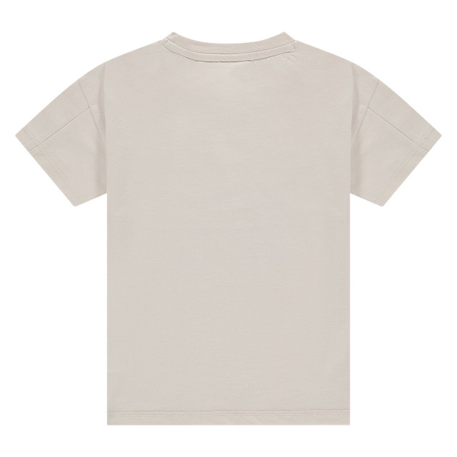 Stains & Stories  Ssa25207632  SSA25207632  large