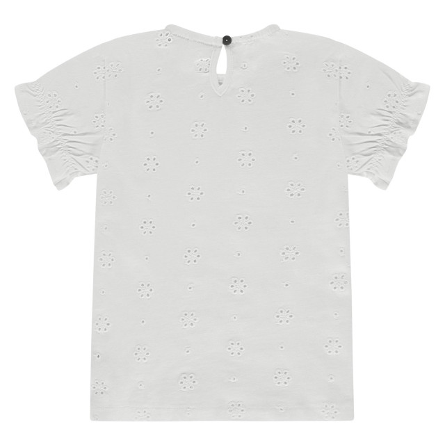 Stains & Stories  Ssa25208636  SSA25208636  large