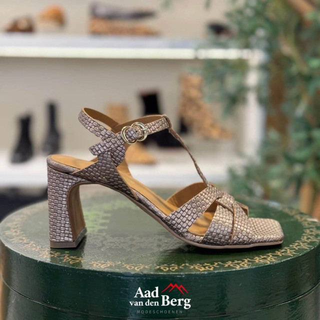 AvdB Damesschoenen sandalen 42447 61.424 large